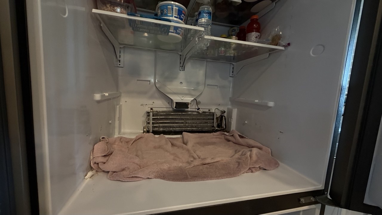 Refrigerator interior opened for evaporator repair in a Naples home